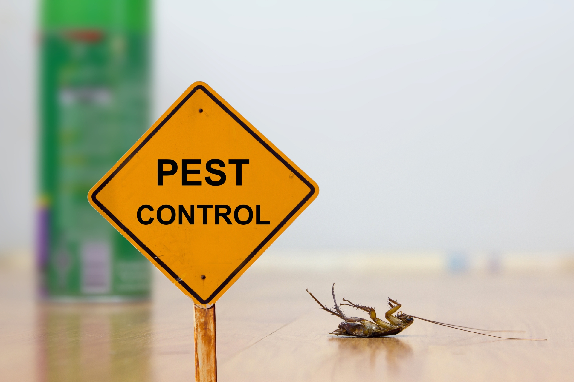 24 Hour Pest Control, Pest Control in Gordon Hill, EN2. Call Now 020 8166 9746